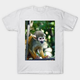 NEW THE PANASONIC FZ 1000 PAR OKAIO CREATION by okaio caillaud olivier 	      NEW THE PANASONIC FZ 1000 PAR OKAIO CREATION T-Shirt